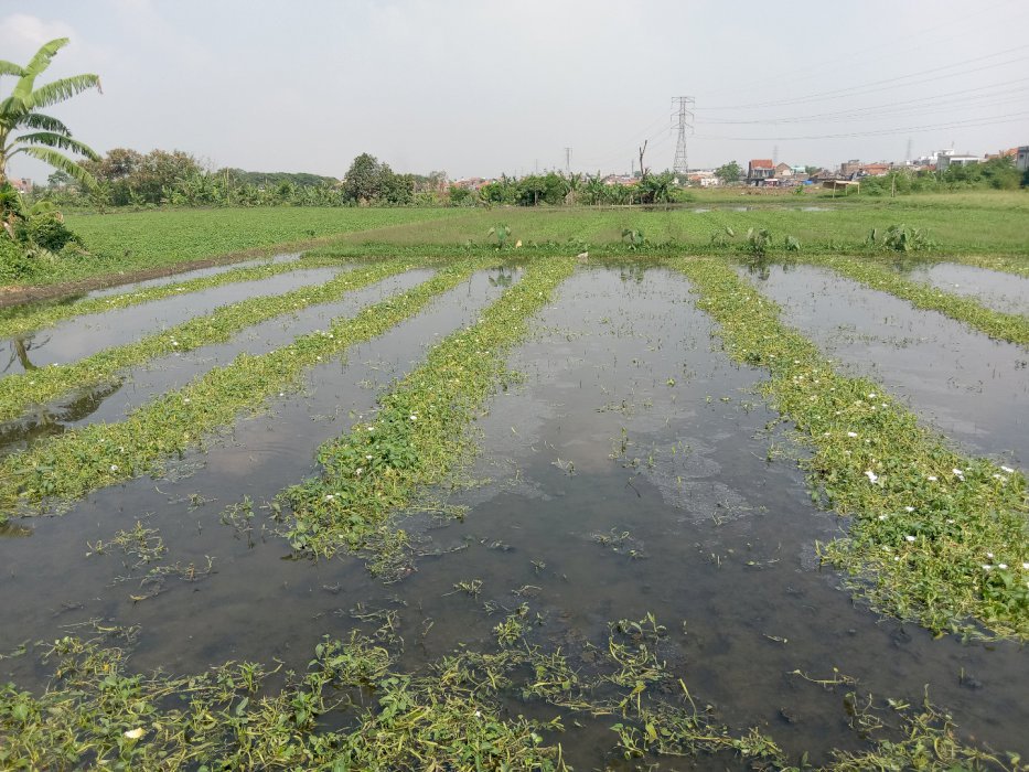 Jual Tanah 5300 Meter di Dekat Taman Cibaduyut Indah - Cibaduyut !