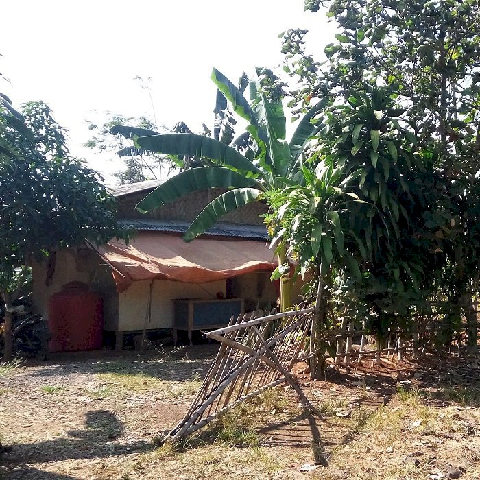 Tanah garapan di Cariu