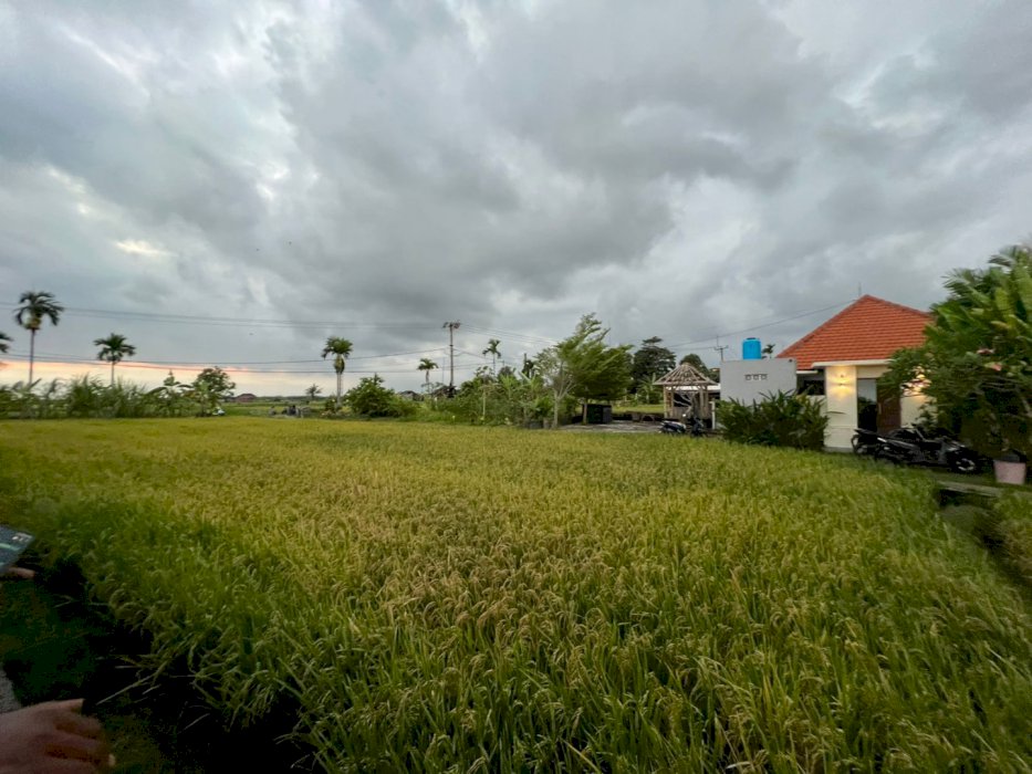 Land for leasehold near beach munggu