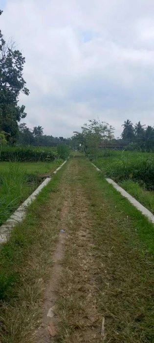 TANAH MURAH DI SINDUMARTANI,NGEMPLAK,SLEMAN,YOGYAKARTA