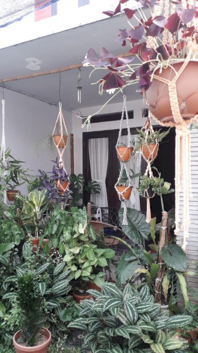 Dijual murah rumah asri di Cirendeu Jakarta Selatan