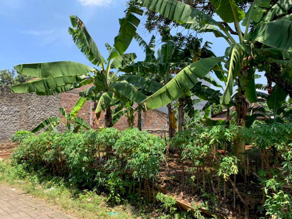 Tanah Lokasi Banaran, Selangkah ke UNNES. SHM Ready