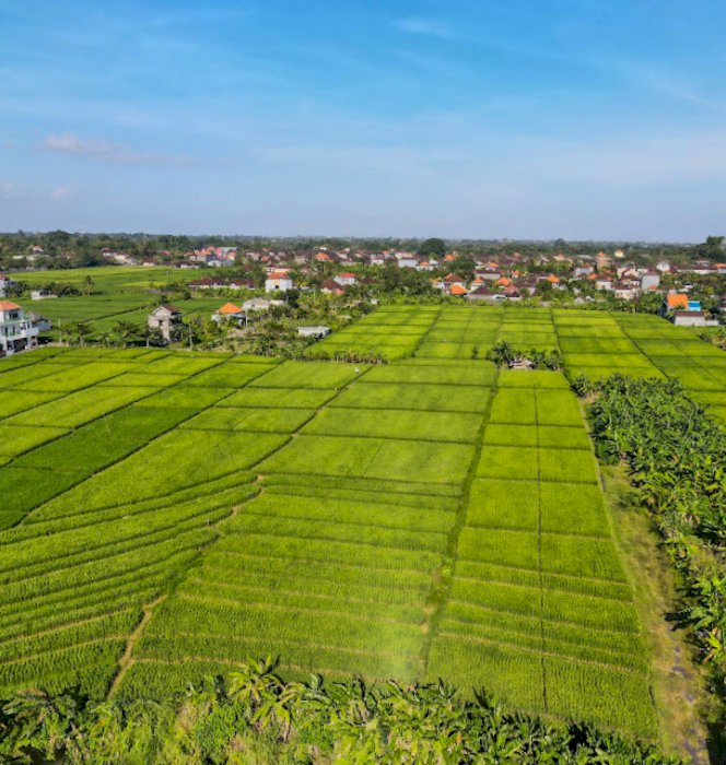 Tanah view sawah dan sungai jln tanah lot Tabanan Bali