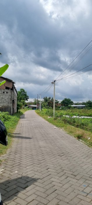 Sawah murah dan bagus di sleman
