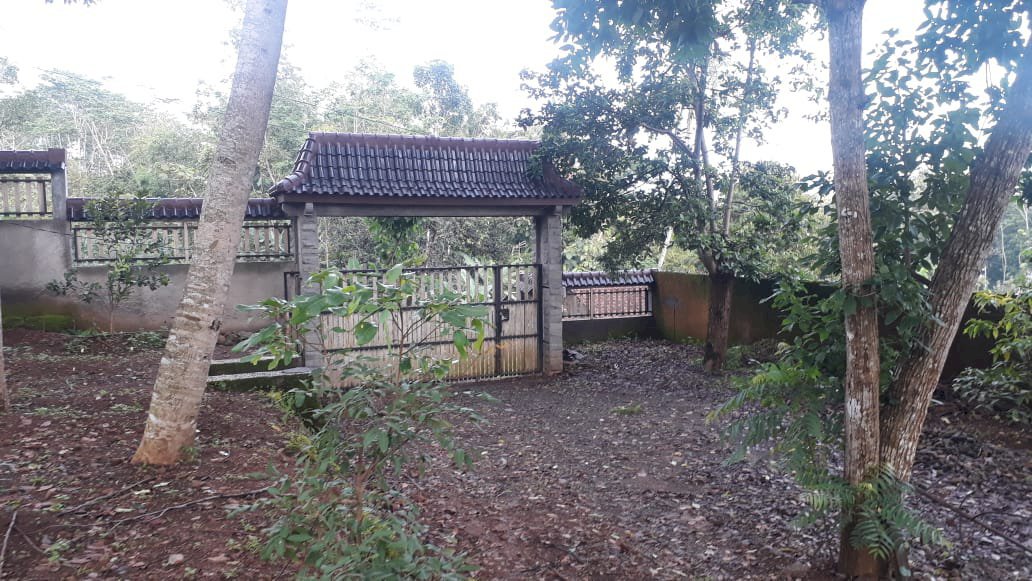 Tanah luas 2600m, subur, strategis di tengah Salatiga