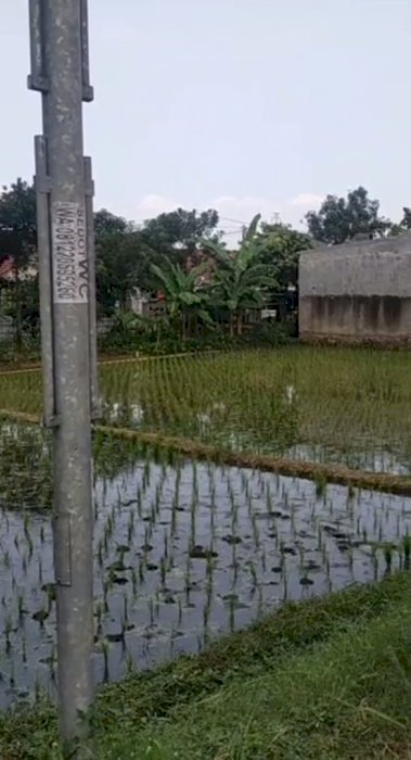Jual Tanah KOTAK 400 Meter Di Cisaranten !