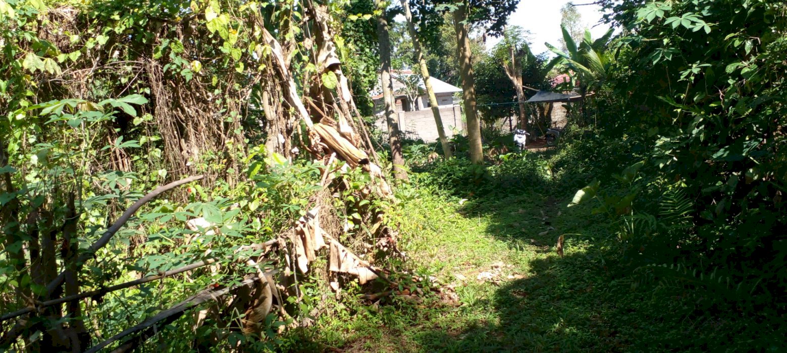 Di jual tanah di panji