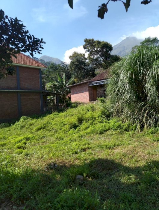 JUAL TANAH KAVLING MURAH, TRAWAS MOJOKERTO JAWATIMUR