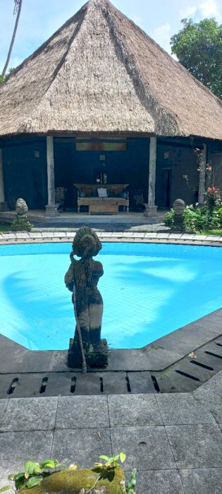 Villa sekitar ubud,1.5 km dari central ubud