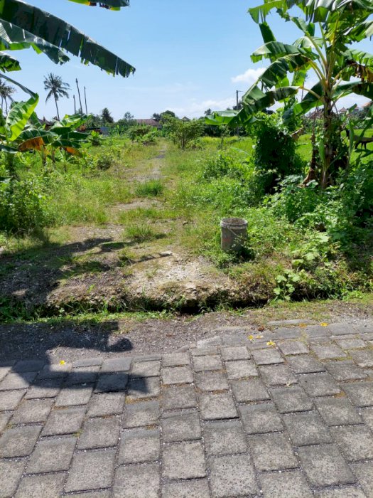Dijual tanah buduk aspek pemukiman view sawah