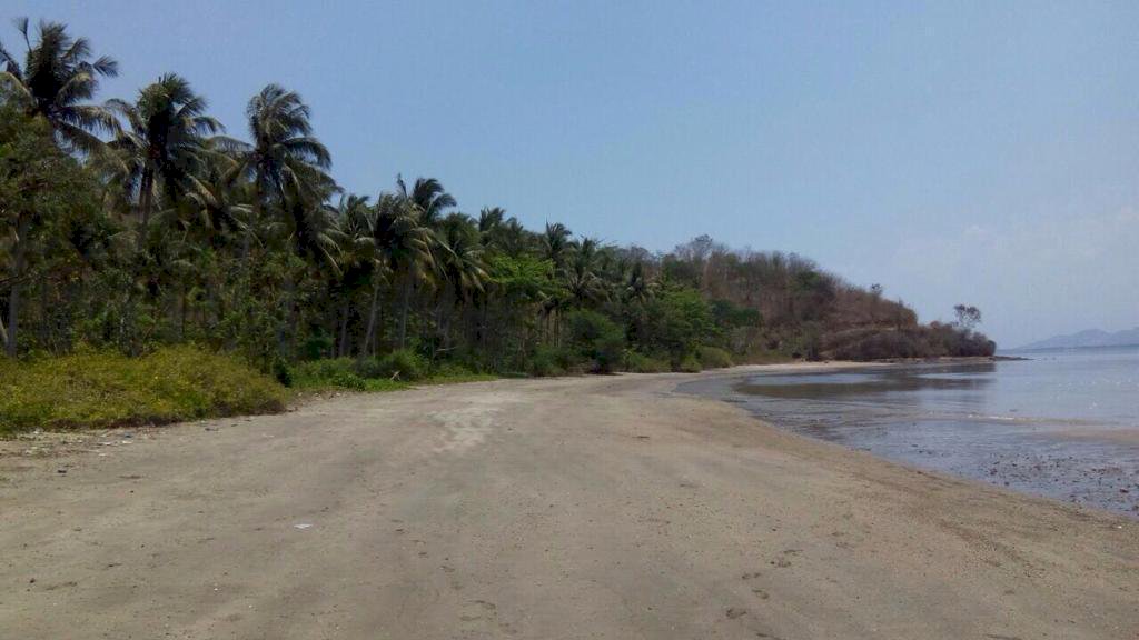 Investasi menarik Tanah Lombok harga termurah di sekitar