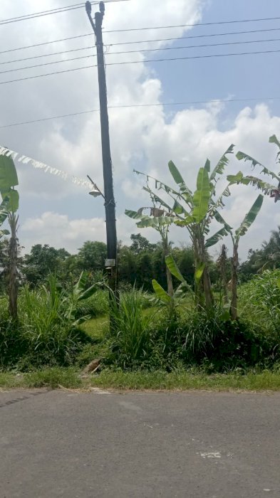 Di jual Tanah 2340m2  SHM di Sleman Yogyakarta