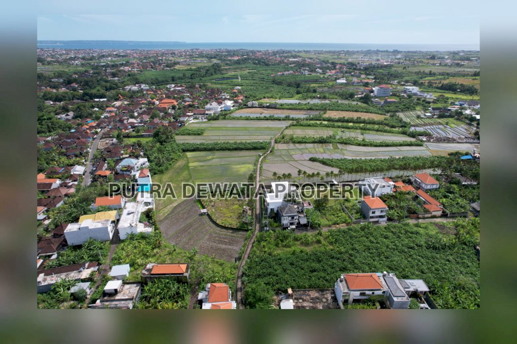 Land for lease Canggu very cheapest