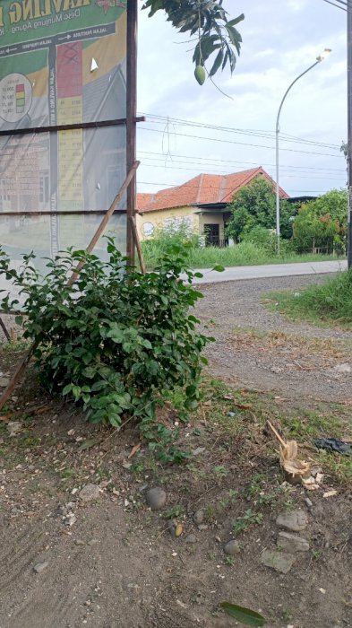 Kavling darat munjung agung