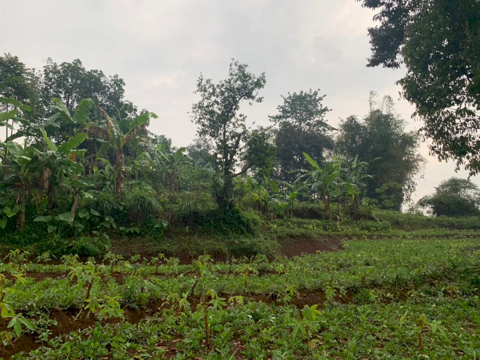 Jual Tanah 1.830 Meter Di Arjasari - Banjaran !