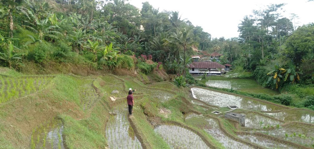 Di Jual tanah murah dan rumah ada sawah di Cicurug Sukabumi