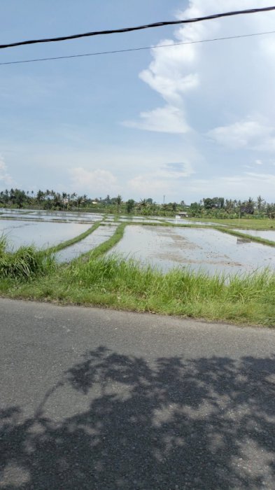 Dijual tanah di jln pantai 5 Pinggir jln utama pantai 5 . pererenan