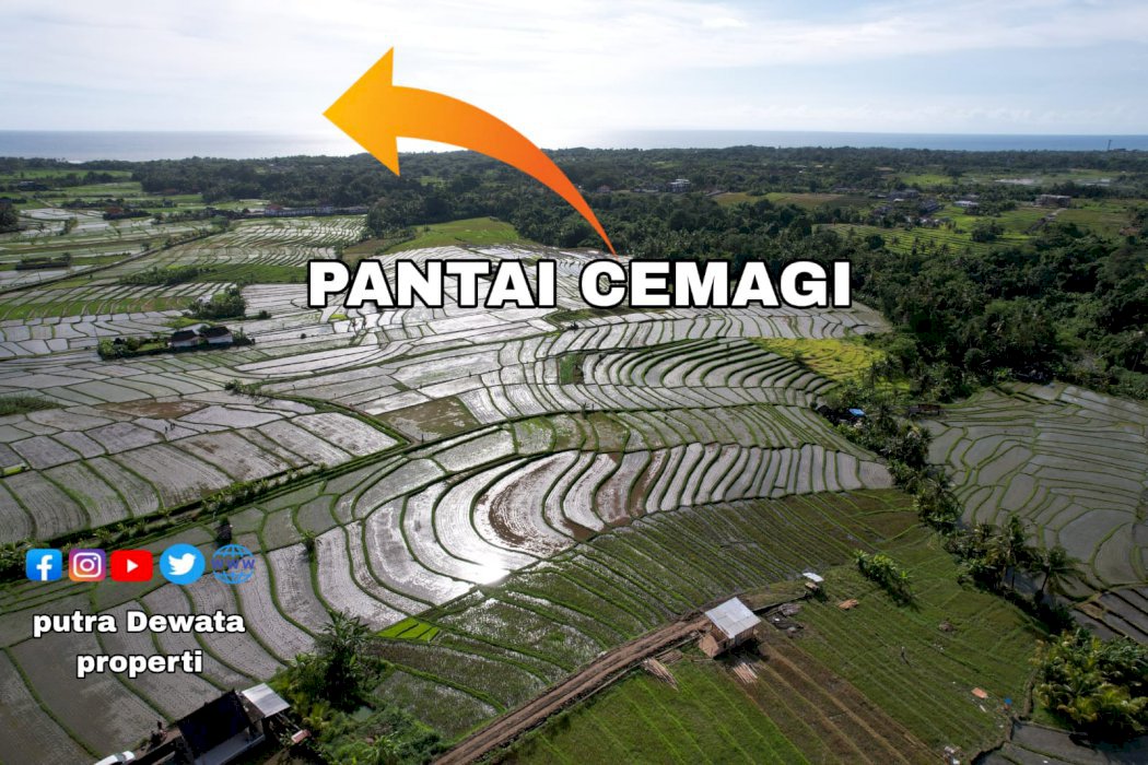 Land for leasehold cemagi for villa and guest house