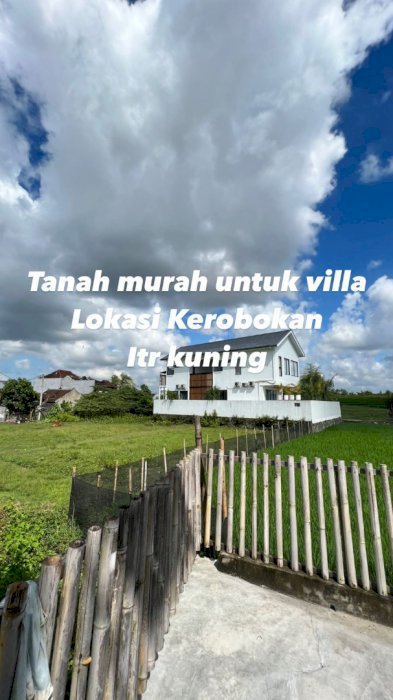 Buc tanah pribadi lingkungan villa Kerobokan view sawah harga termurah