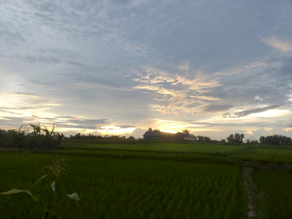 Dijual!! Tanah seluas 4 hektare