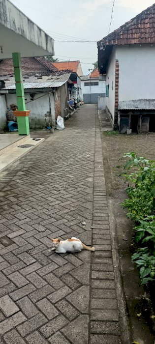 RUMAH kampung Murah Sidoarjo Jawa Timur