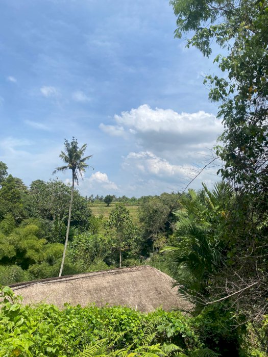 Murah dan langka tanah bonus villa di cepaka Bali harga under market