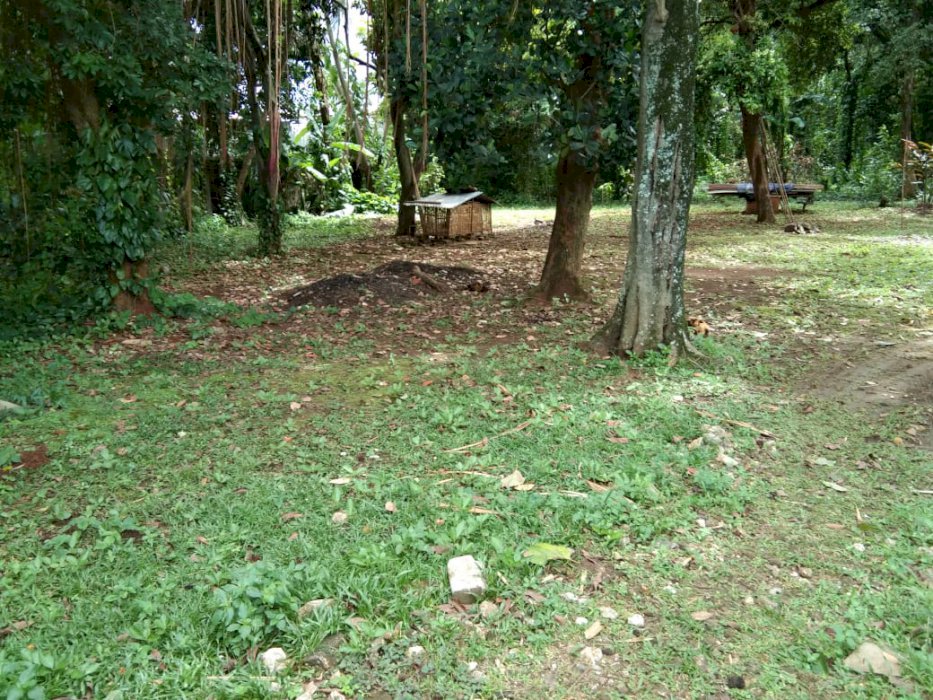 Lahan Bagus dan Matang di Jln Jagakarsa Raya, Jagakarsa Jaksel