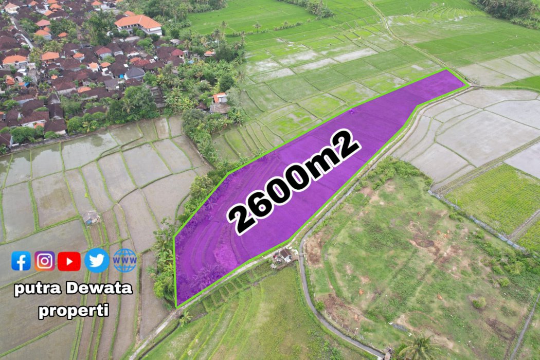 Disewakan tanah di jln pantai Munggu yellow zone termurah di sekitar