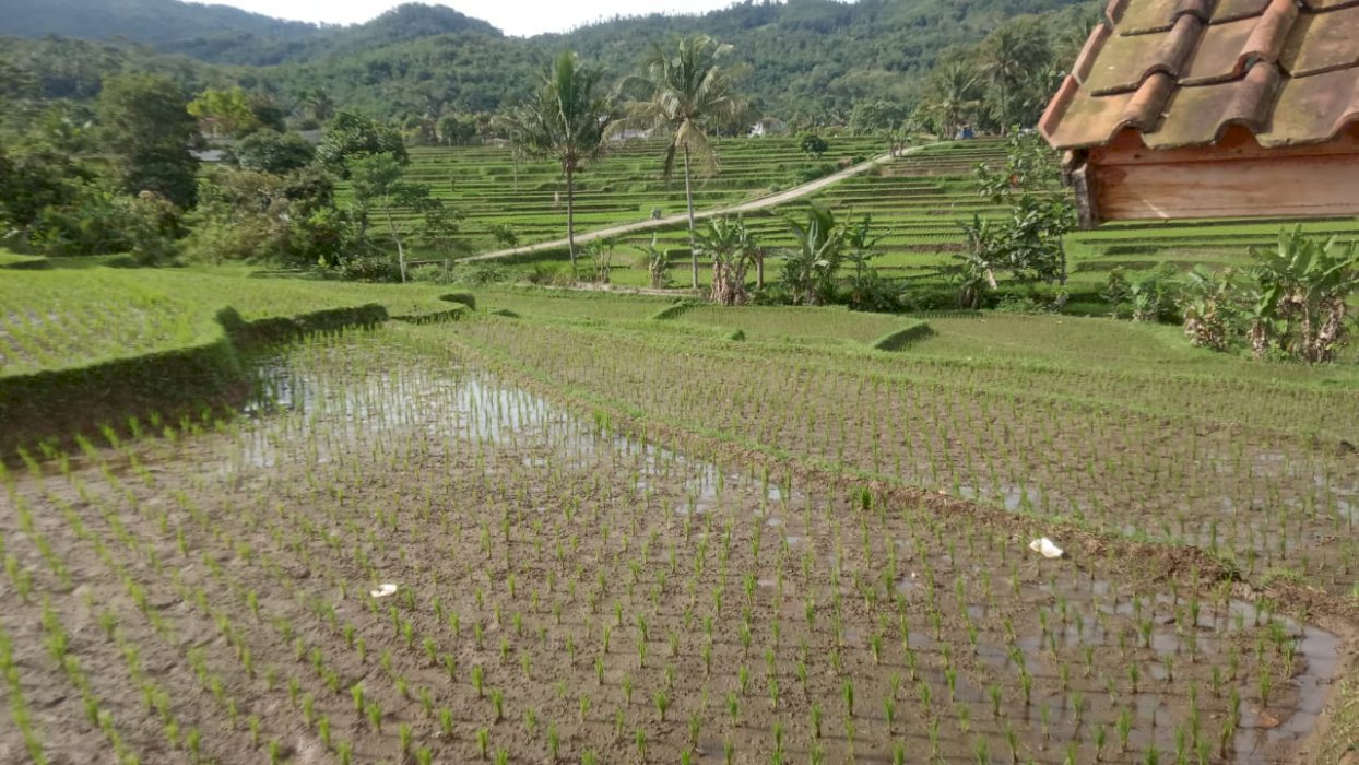 Tanah dijual harga nego