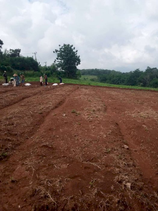 JUAL TANAH MURAH DAN LUAS LOKASI STRATEGIS DI JONGGOL BOGOR