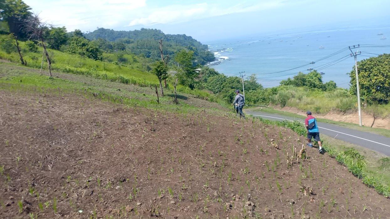 Dijual Tanah Pinggir Pantai