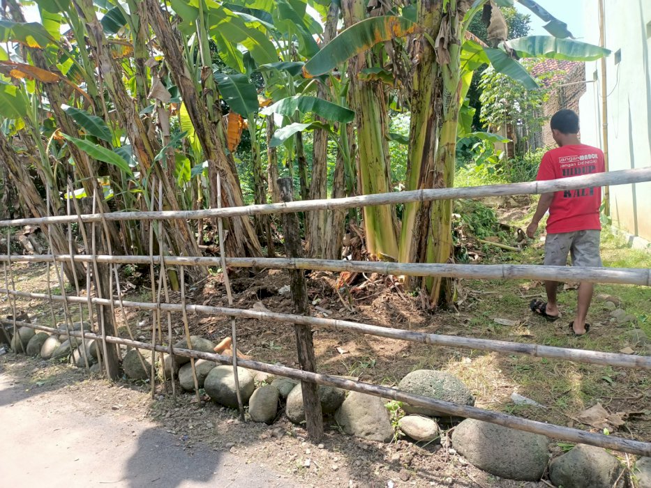 Dijual tanah pekarangan di kalisapu slawi ,tegal