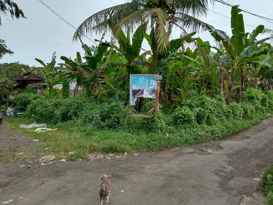 Tanah murah di Kota Tabanan