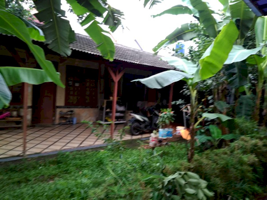 Rumah Kebun Hitung Tanah Lokasi Istimewa di Lenteng Agung, Jakarta Slt