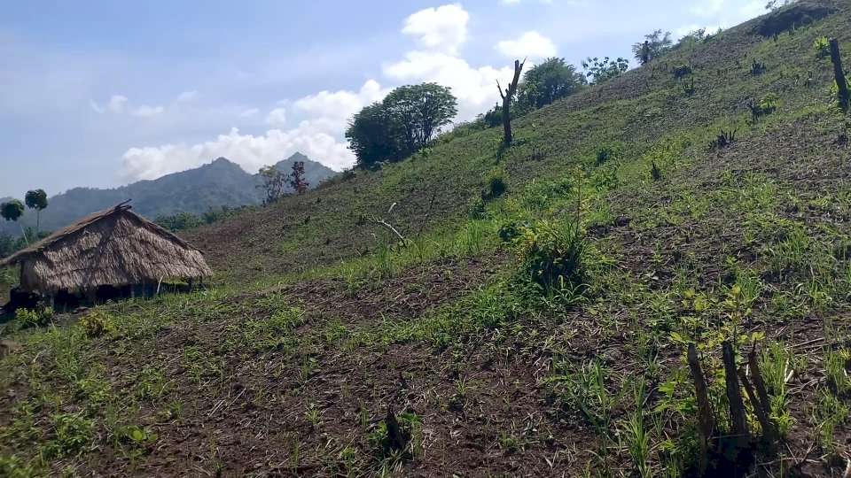 DIJUALTANAH PINGGIR JALAN VIEW PANTAI