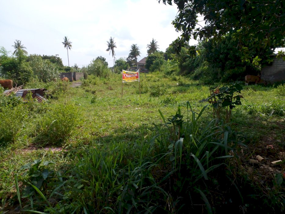 Di jual tanah di desa bangah