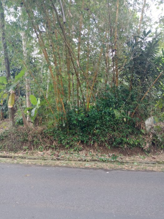 Jual Cepat Tanah di Cimaragas Ciamis