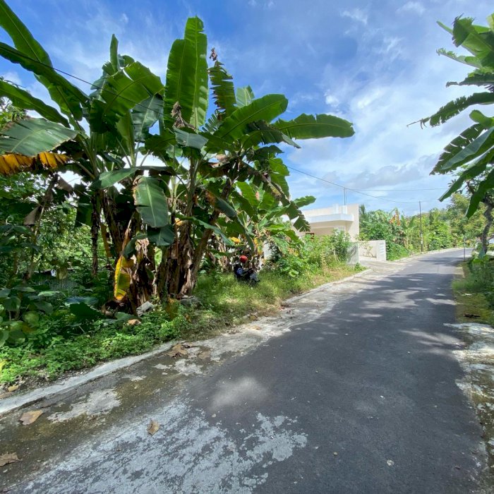 DIJUAL 3 UNIT TANAH KAVLING MURAH DI GAMPING SLEMAN YOGYAKARTA