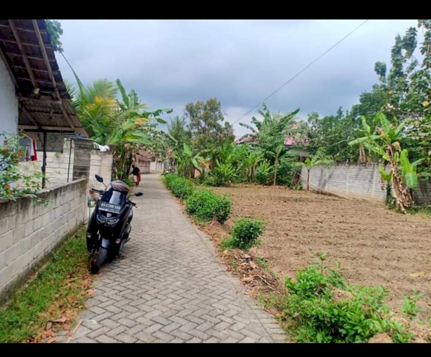 gallery cover