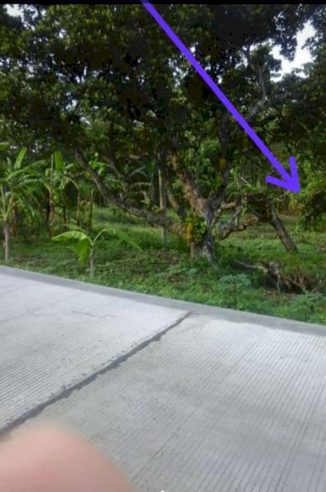 Tanah Pinggir jalan jludang ngaliyan