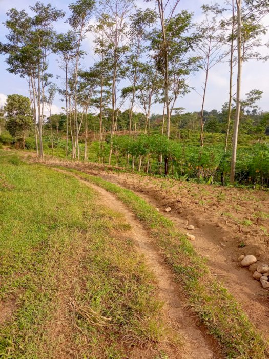 Tanah untuk perumahan