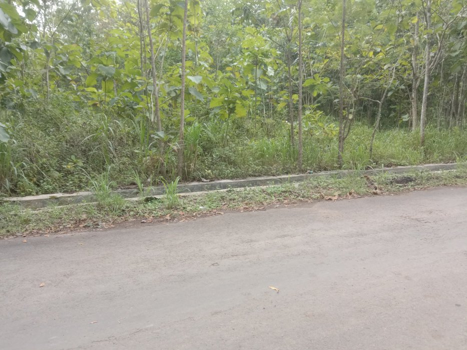 Tanah di jual dekat lanud gading Gunungkidul