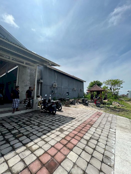 Disewakan tanah premium lokasi pura Demak bebas banjir