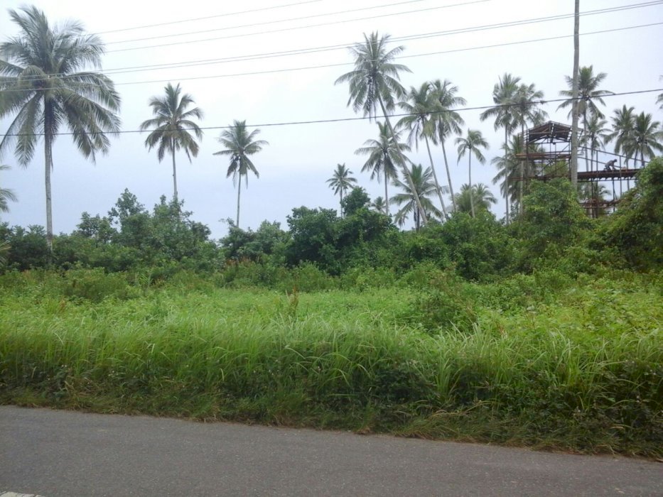 DiJual Tanah Pinggir JalanRaya, Luas 11.990 M, Simpang Hilir, KalBar