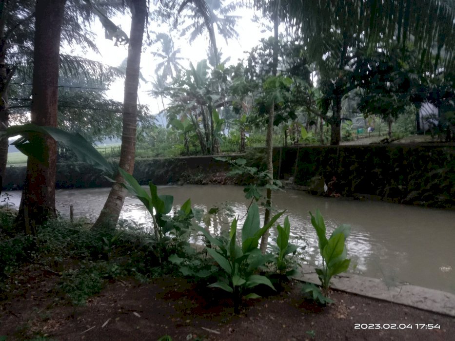 Di jual tanah pekarangan ada kolam ikan nya