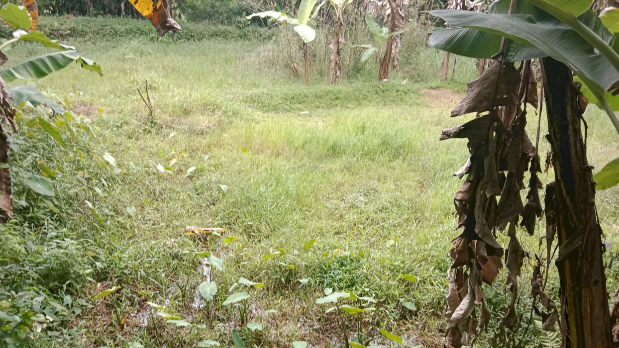 Tanah murah di jual daerah bandung