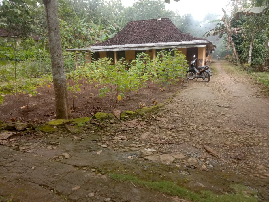 Jual tanah pekarangan bonus Limasan