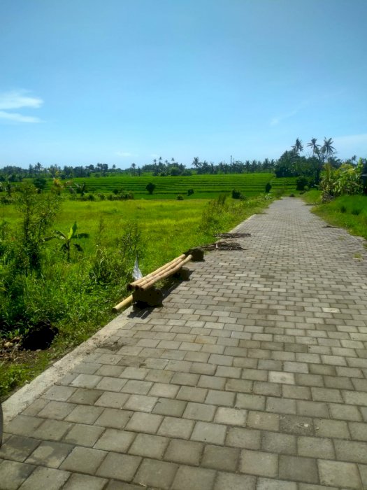 Dijual tanah pantai nyanyi view sawah Tabanan Bali ,, jh32