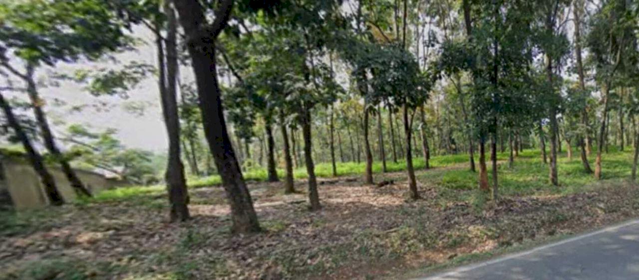 DIJUAL TANAH LUAS LOKASI STRATEGIS DI CIKALONGKULON CIANJUR