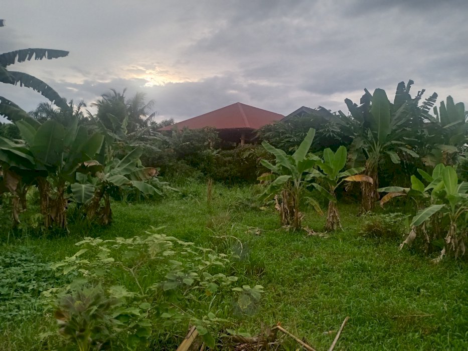 Dijual Cepat Tanah Siap Pakai Dekat Kampus Jl Berdikari Rumbai Pku